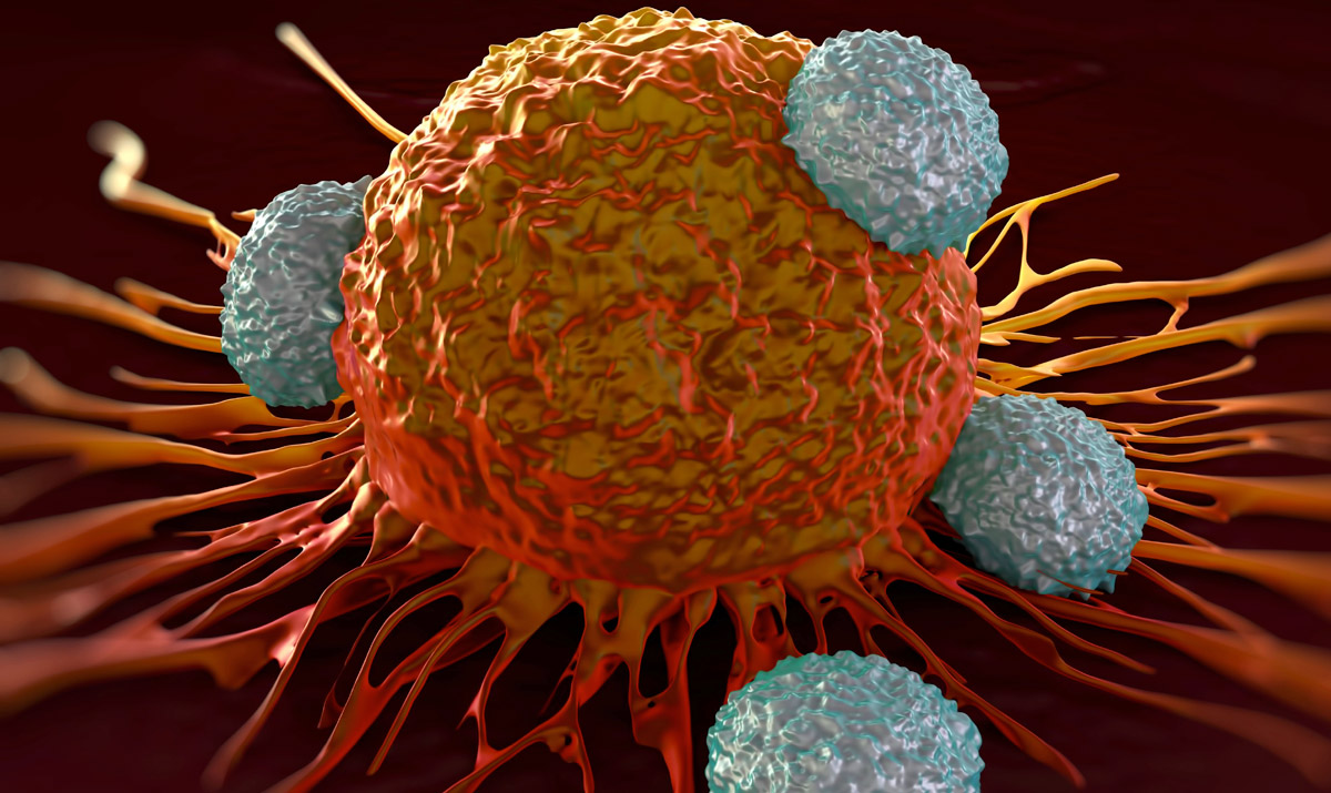 t-cell-attack graphic simulates immunotherapy response to mouth cancer